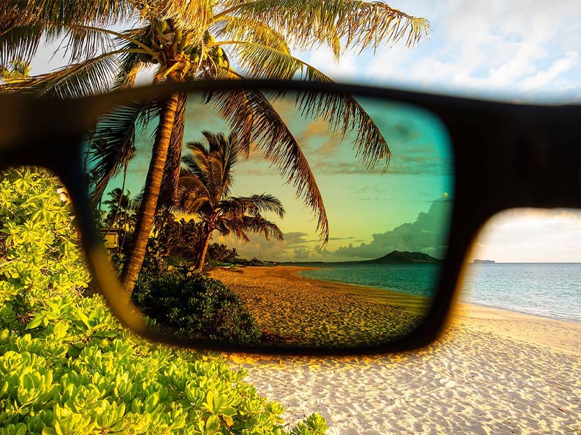 Marine Optical Clinic Frames